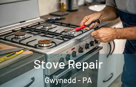  Stove Repair Gwynedd - PA