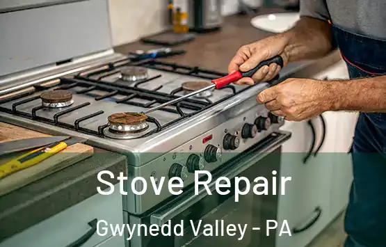  Stove Repair Gwynedd Valley - PA