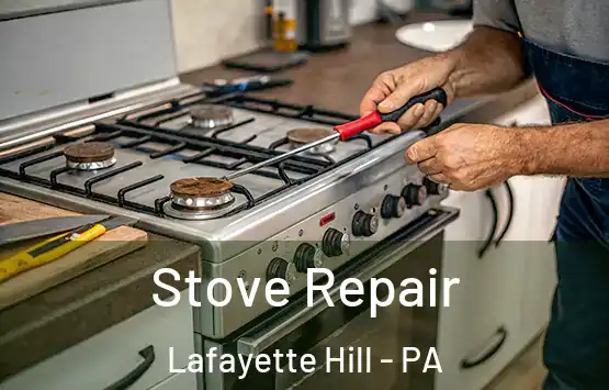  Stove Repair Lafayette Hill - PA