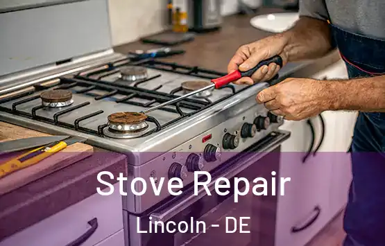  Stove Repair Lincoln - DE