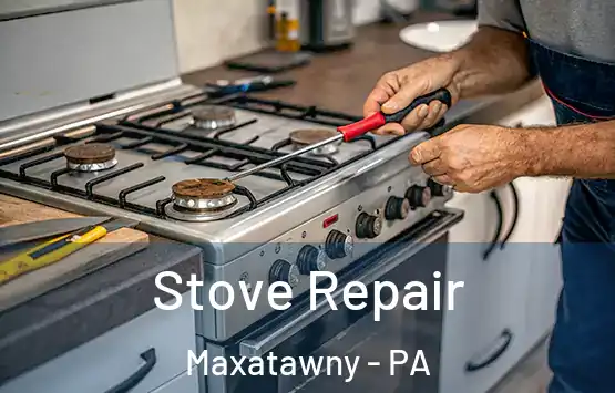  Stove Repair Maxatawny - PA