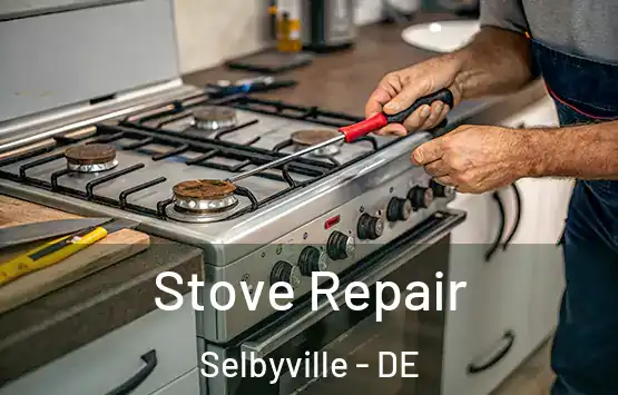  Stove Repair Selbyville - DE