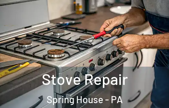  Stove Repair Spring House - PA