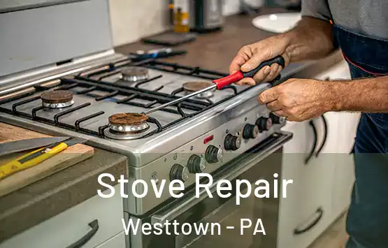  Stove Repair Westtown - PA