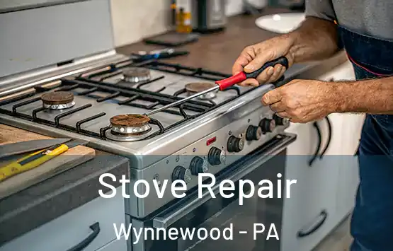  Stove Repair Wynnewood - PA