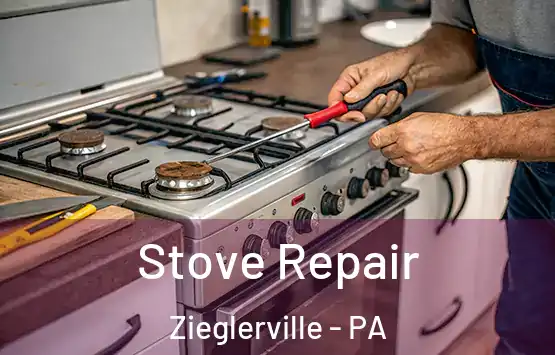  Stove Repair Zieglerville - PA