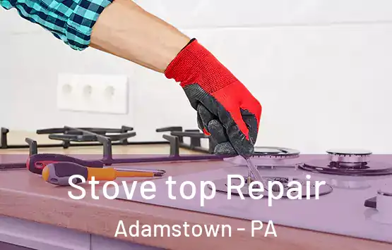  Stove top Repair Adamstown - PA