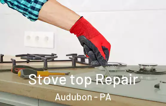  Stove top Repair Audubon - PA