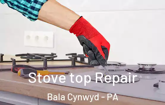  Stove top Repair Bala Cynwyd - PA