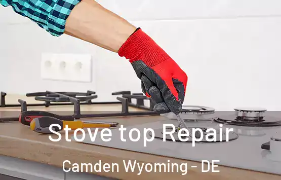 Stove top Repair Camden Wyoming - DE