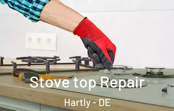  Stove top Repair Hartly - DE
