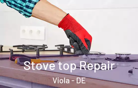  Stove top Repair Viola - DE