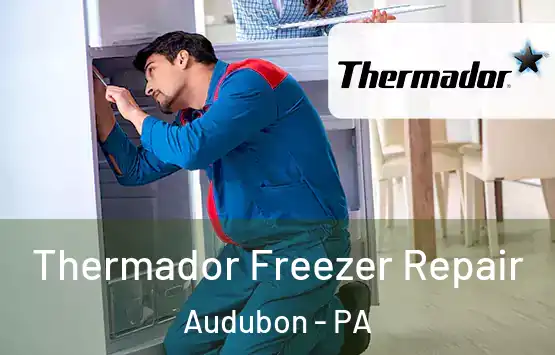  Thermador Freezer Repair Audubon - PA
