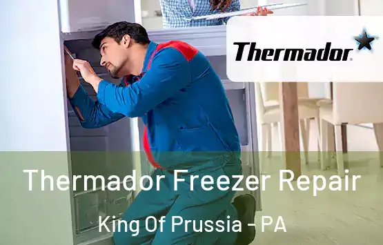  Thermador Freezer Repair King Of Prussia - PA