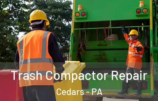  Trash Compactor Repair Cedars - PA