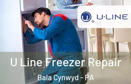  U Line Freezer Repair Bala Cynwyd - PA