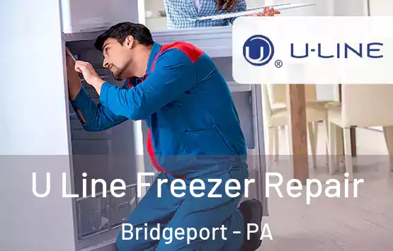  U Line Freezer Repair Bridgeport - PA
