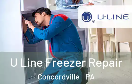  U Line Freezer Repair Concordville - PA