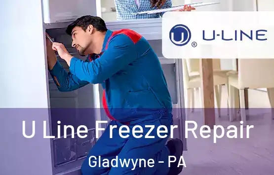  U Line Freezer Repair Gladwyne - PA