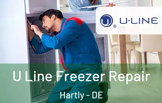  U Line Freezer Repair Hartly - DE