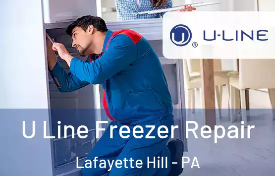  U Line Freezer Repair Lafayette Hill - PA