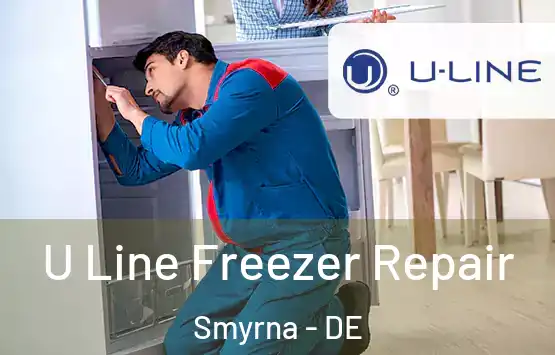  U Line Freezer Repair Smyrna - DE