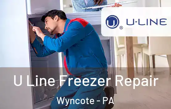  U Line Freezer Repair Wyncote - PA