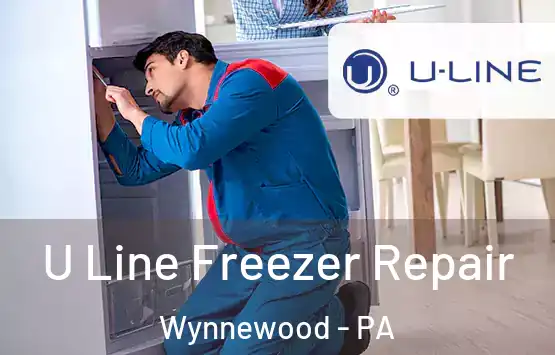  U Line Freezer Repair Wynnewood - PA