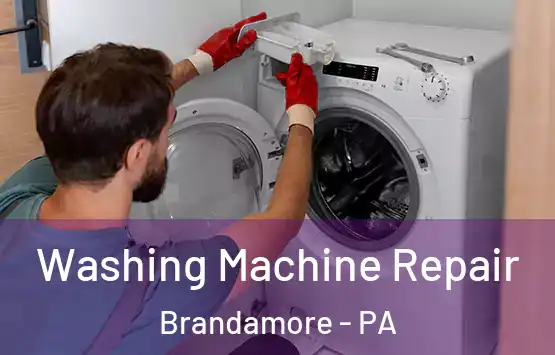  Washing Machine Repair Brandamore - PA