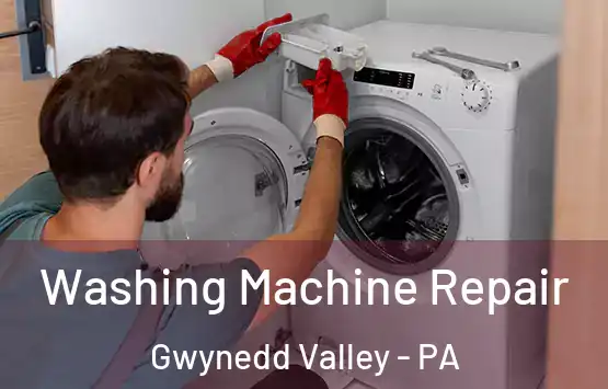  Washing Machine Repair Gwynedd Valley - PA