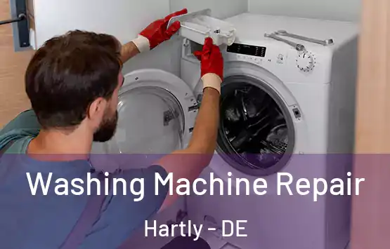  Washing Machine Repair Hartly - DE