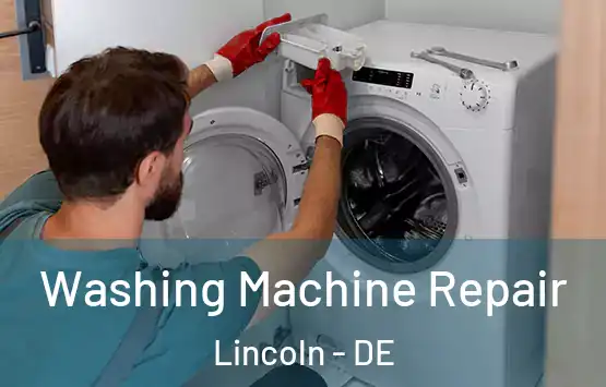  Washing Machine Repair Lincoln - DE