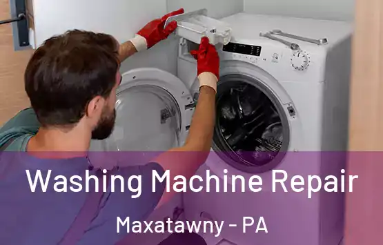  Washing Machine Repair Maxatawny - PA
