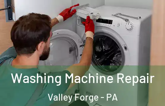  Washing Machine Repair Valley Forge - PA