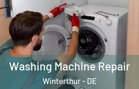  Washing Machine Repair Winterthur - DE