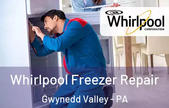  Whirlpool Freezer Repair Gwynedd Valley - PA