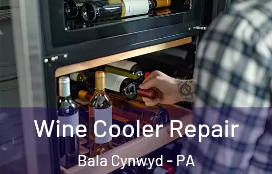  Wine Cooler Repair Bala Cynwyd - PA