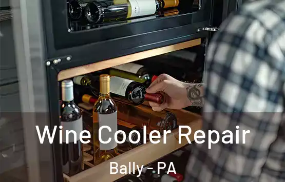  Wine Cooler Repair Bally - PA