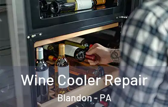  Wine Cooler Repair Blandon - PA