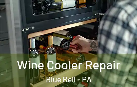  Wine Cooler Repair Blue Bell - PA