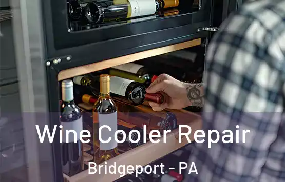  Wine Cooler Repair Bridgeport - PA