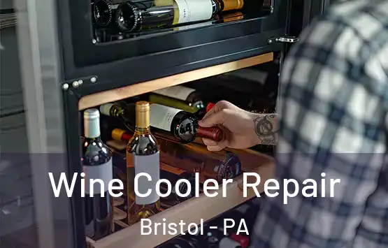  Wine Cooler Repair Bristol - PA