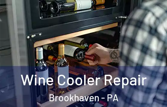  Wine Cooler Repair Brookhaven - PA