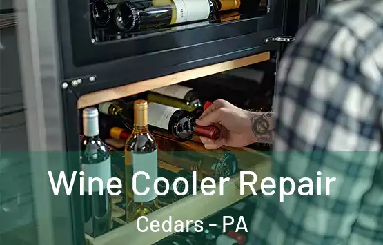 Wine Cooler Repair Cedars - PA