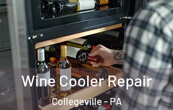  Wine Cooler Repair Collegeville - PA