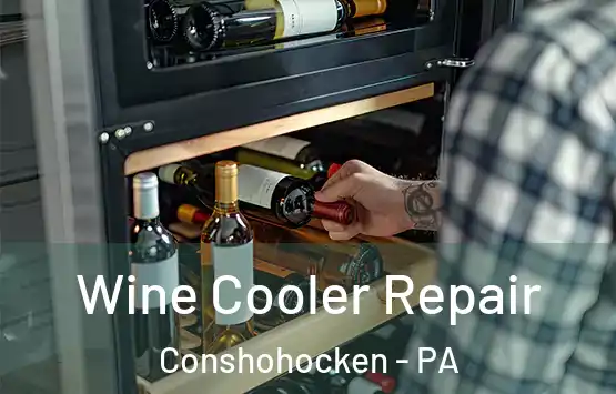  Wine Cooler Repair Conshohocken - PA