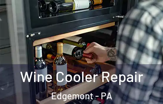  Wine Cooler Repair Edgemont - PA