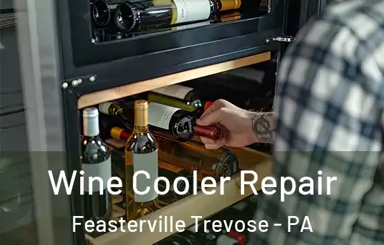  Wine Cooler Repair Feasterville Trevose - PA