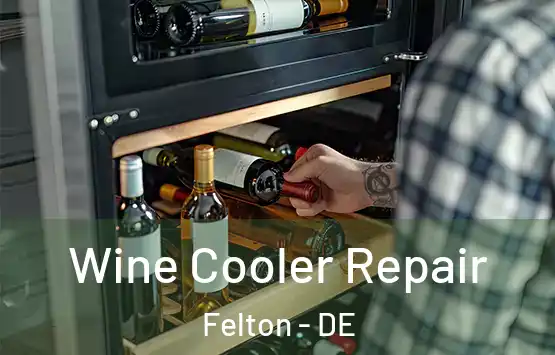  Wine Cooler Repair Felton - DE
