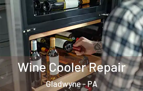 Wine Cooler Repair Gladwyne - PA